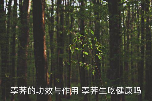 荸薺的功效與作用 荸薺生吃健康嗎