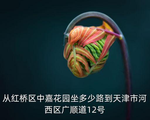從紅橋區中嘉花園坐多少路到天津市河西區廣順道12號