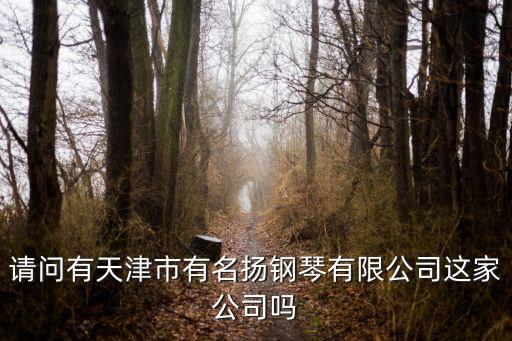 請問有天津市有名揚鋼琴有限公司這家公司嗎