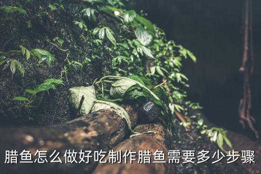 紅燒臘魚，自制深海紅燒紅臘魚美味得不要不要噠