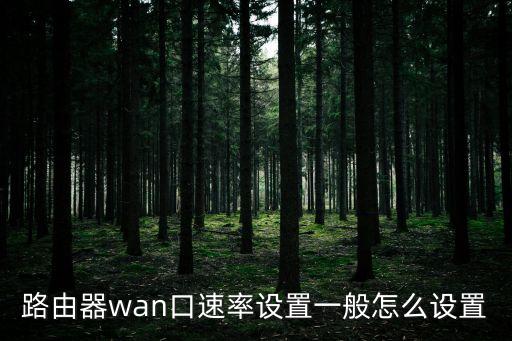 路由器wan口速率設置一般怎么設置