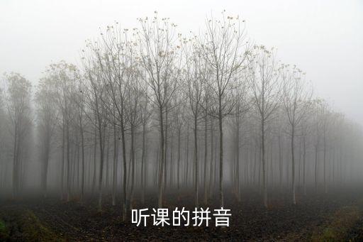 聽課，上課該怎樣聽課