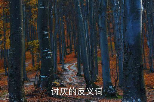 討厭的反義詞