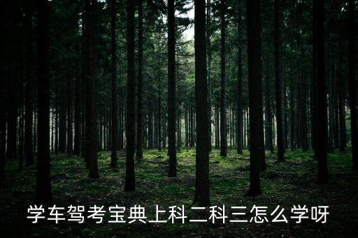 學(xué)車寶典，有沒有什么關(guān)于科目二考試的學(xué)車寶典