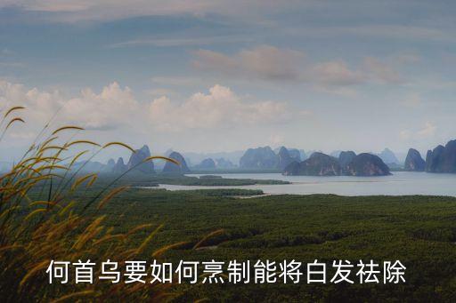何首烏要如何烹制能將白發祛除