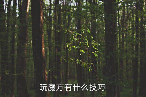 魔方技巧，玩魔方有什么技巧