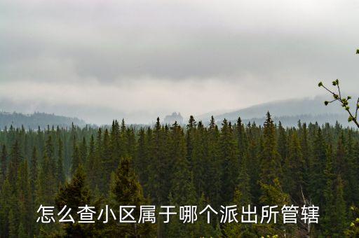 怎么查小區屬于哪個派出所管轄