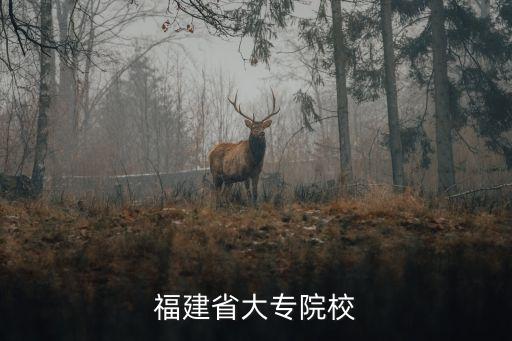 福建省大專院校