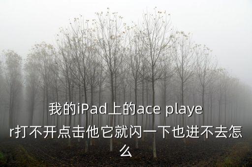 我的iPad上的ace player打不開點擊他它就閃一下也進不去怎么