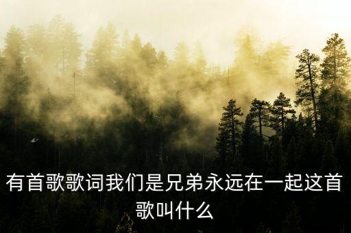 有首歌歌詞我們是兄弟永遠(yuǎn)在一起這首歌叫什么
