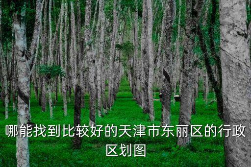 天津市東麗區(qū)行政區(qū)劃調(diào)整，哪能找到比較好的天津市東麗區(qū)的行政區(qū)劃圖
