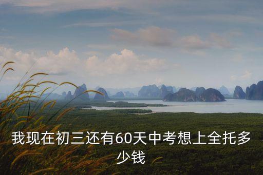 我現在初三還有60天中考想上全托多少錢