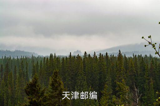 天津市地質調查研究院郵編，天津郵編