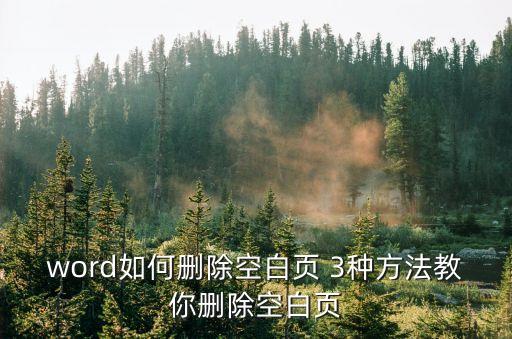 怎么刪除空白頁word，word文檔里的空白頁怎么刪除