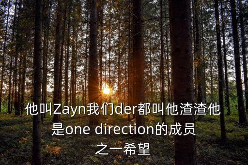 zayn，Zayn專輯Mind of mine百度云謝謝