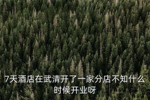 7天酒店在武清開了一家分店不知什么時候開業呀