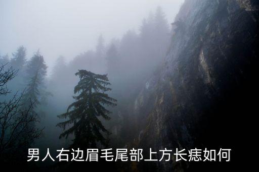 眉毛尾部有痣，左眉眉尾有黑痣