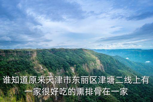 天津市東麗區上尚湯，天津東麗區哪里可以代熬中藥