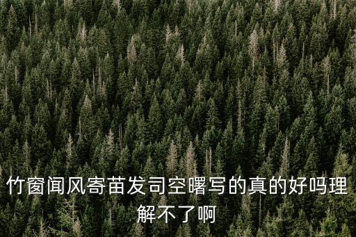 竹窗聞風(fēng)寄苗發(fā)司空曙，竹窗聞風(fēng)寄苗發(fā)司空曙寫的真的好嗎理解不了啊