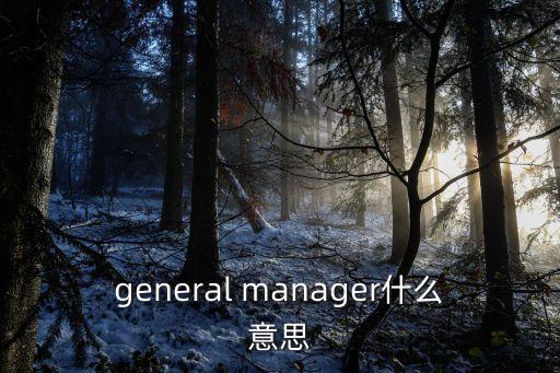 general manager什么意思