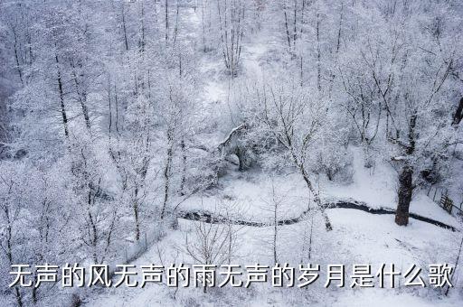 無聲的風(fēng)無聲的雨無聲的歲月是什么歌