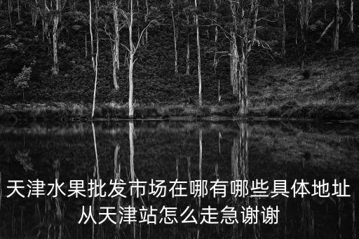 天津水果批發市場在哪有哪些具體地址從天津站怎么走急謝謝