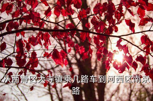 從西青區(qū)大寺鎮(zhèn)乘幾路車到河西區(qū)南京路