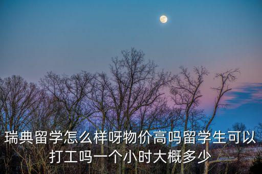 瑞典留學(xué)怎么樣呀物價(jià)高嗎留學(xué)生可以打工嗎一個(gè)小時(shí)大概多少