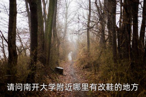 天津市南開區哪里有修皮鞋的，請問南開大學附近哪里有改鞋的地方