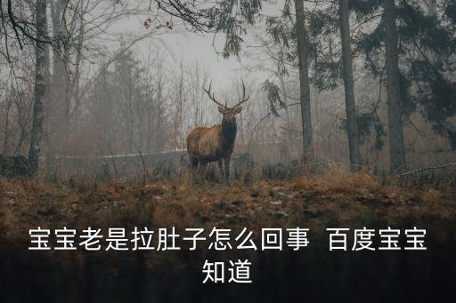 寶寶老是拉肚子怎么回事  百度寶寶知道