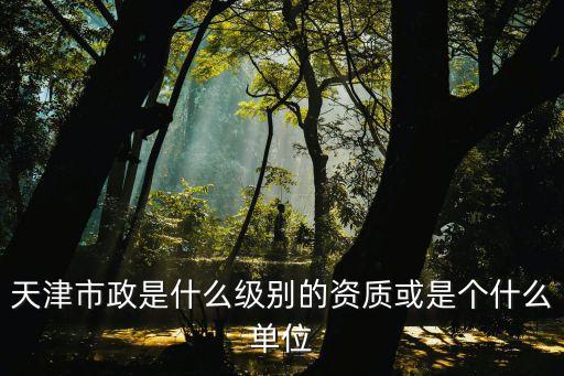 天津市政是什么級別的資質(zhì)或是個什么單位