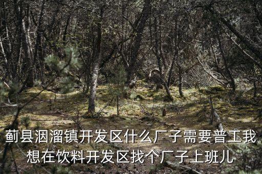 薊縣洇溜鎮(zhèn)開發(fā)區(qū)什么廠子需要普工我想在飲料開發(fā)區(qū)找個廠子上班兒