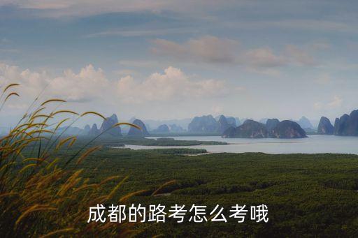 成都的路考怎么考哦
