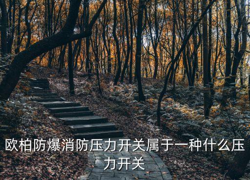 歐柏防爆消防壓力開關屬于一種什么壓力開關