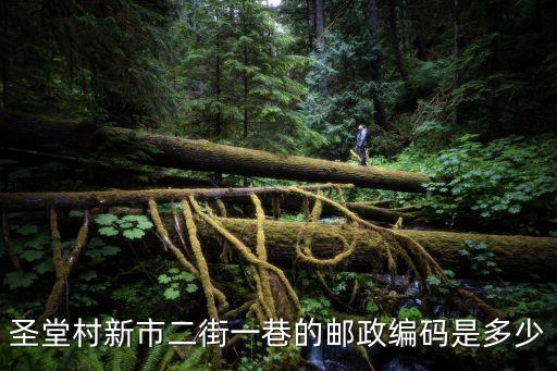 天津市新市鎮(zhèn)德錦里郵編，圣堂村新市二街一巷的郵政編碼是多少