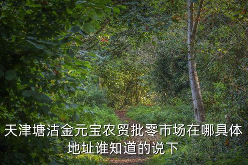 天津塘沽金元寶農(nóng)貿(mào)批零市場在哪具體地址誰知道的說下