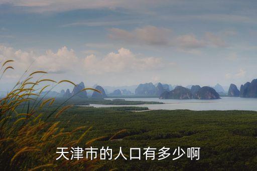 天津市西沽區人口，天津市現有多少人口