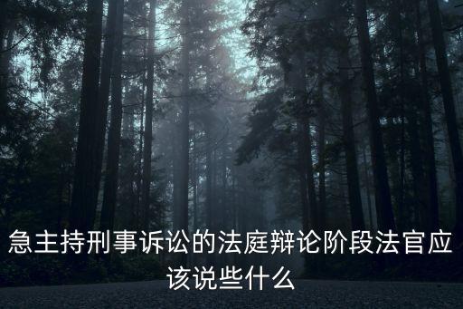 急主持刑事訴訟的法庭辯論階段法官應(yīng)該說(shuō)些什么