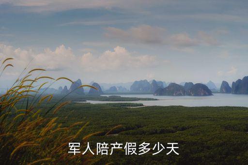 軍人陪產(chǎn)假多少天