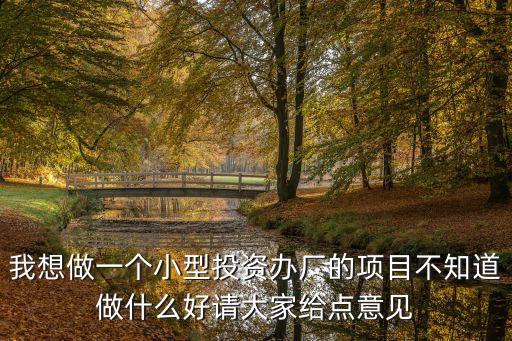 我想做一個小型投資辦廠的項目不知道做什么好請大家給點意見