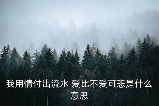 我用情付諸流水，歌詞我用情付諸流水 愛比不愛可悲 聽山盟海誓曾經(jīng)說的字字都珍貴