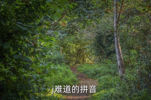 j難道的拼音