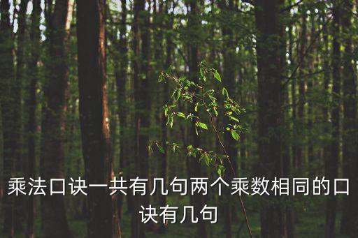 小學(xué)乘法口訣表圖片，乘法口訣一共有幾句兩個(gè)乘數(shù)相同的口訣有幾句