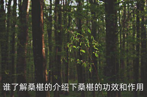 誰了解桑椹的介紹下桑椹的功效和作用