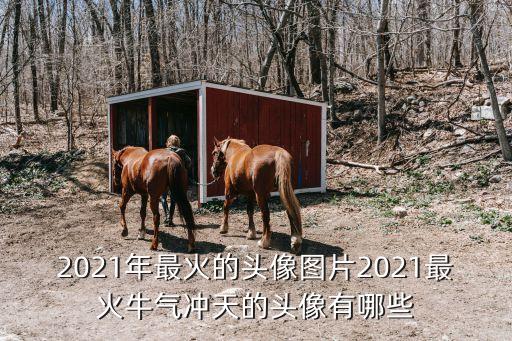 2021年最火的頭像圖片2021最火牛氣沖天的頭像有哪些