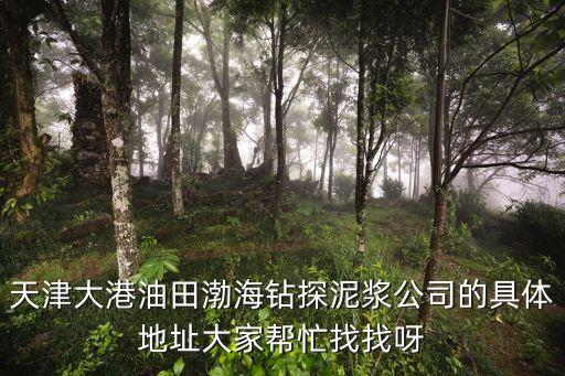 天津大港油田渤海鉆探泥漿公司的具體地址大家幫忙找找呀