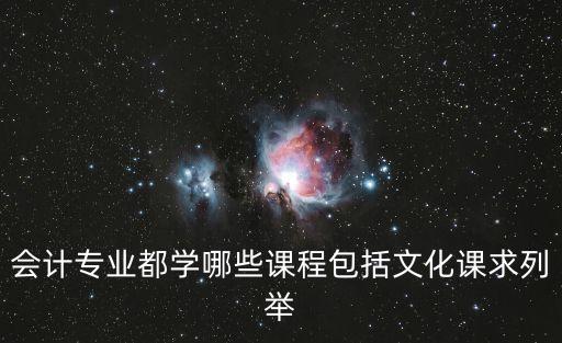 會計專業都學哪些課程包括文化課求列舉