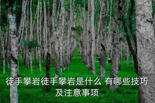 徒手攀巖徒手攀巖是什么 有哪些技巧及注意事項
