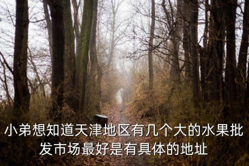 小弟想知道天津地區(qū)有幾個大的水果批發(fā)市場最好是有具體的地址