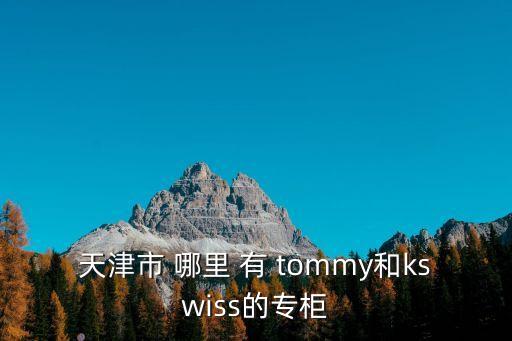 天津市安賽米爾樂，天津市 哪里 有 tommy和kswiss的專柜